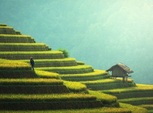 農(nóng)村環(huán)境“大變樣” 繪就康莊美麗鄉(xiāng)村新畫(huà)卷