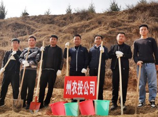 臨夏州凱潤農(nóng)牧投資發(fā)展集團有限公司參加2021年春季義務(wù)植樹活動