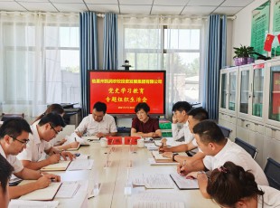 臨夏州凱潤農(nóng)牧投資發(fā)展集團(tuán)有限公司 召開黨史學(xué)習(xí)教育專題組織生活會